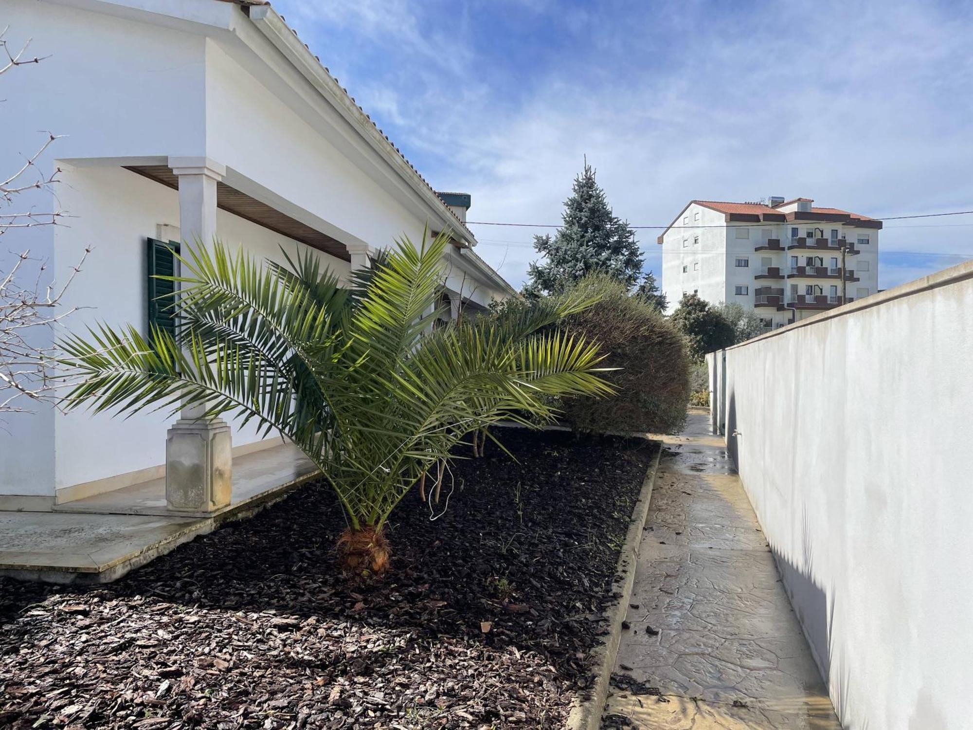 Casa Com Alma Hostal Fátima Exterior foto